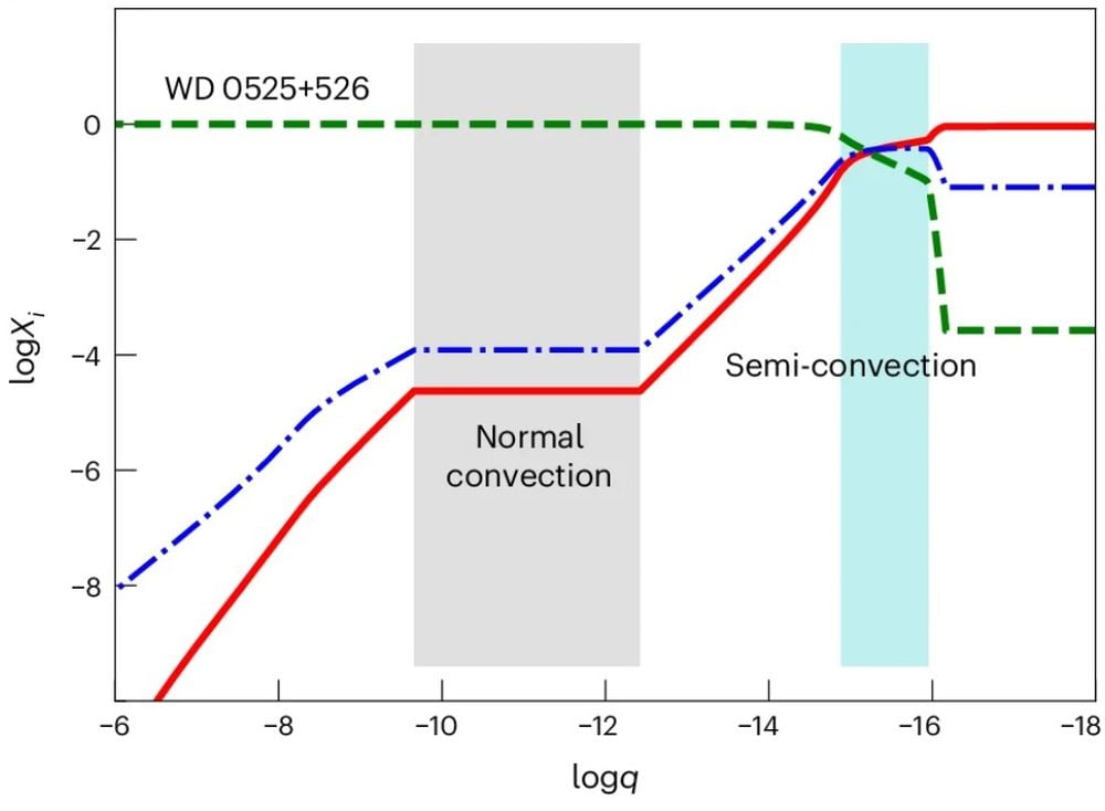This figure shows semi-convection delivers less carbon to the white dwarf's upper layers than regular convection. Red represents hydrogen, blue represents helium, and green represents carbon. Semi-convection allows a thin hydrogen-helium shell to float on WD 0525+526's surface, which explains why this red dwarf has less surface carbon than cooler DAQ stars observed long after their mergers. Image Credit: Snahu et al. 2025. NatAst.