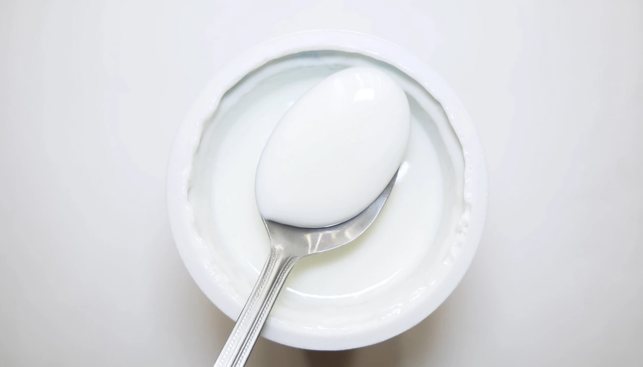 Yogurt-derived hydrogels for regenerative medicine