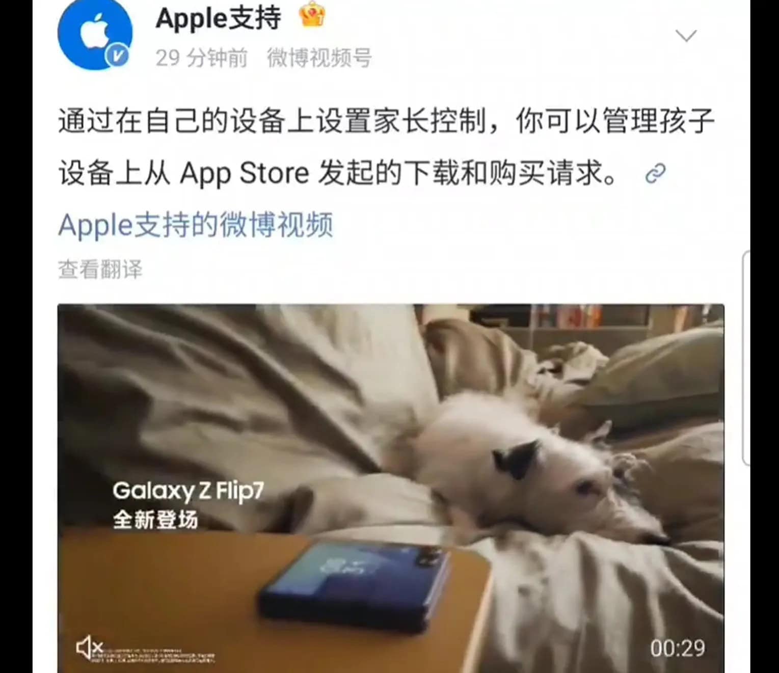 Apple Accidentally Promotes Samsungs New Foldable 