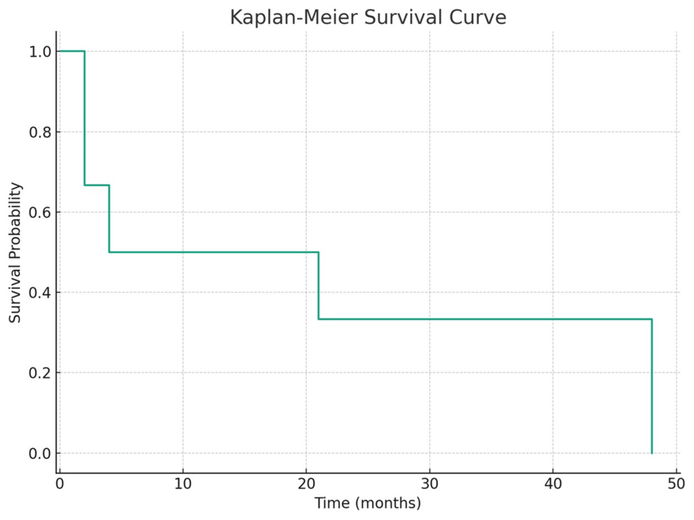 Surgical Management of Brain Metastases in Patients Aged 80 and Above: Observations From a Limited Case Series