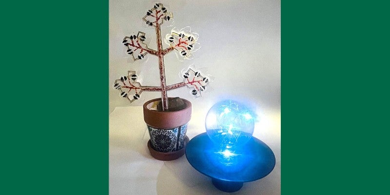 File Image: Artificial photosynthesis has been described as the holy grail of clean energy