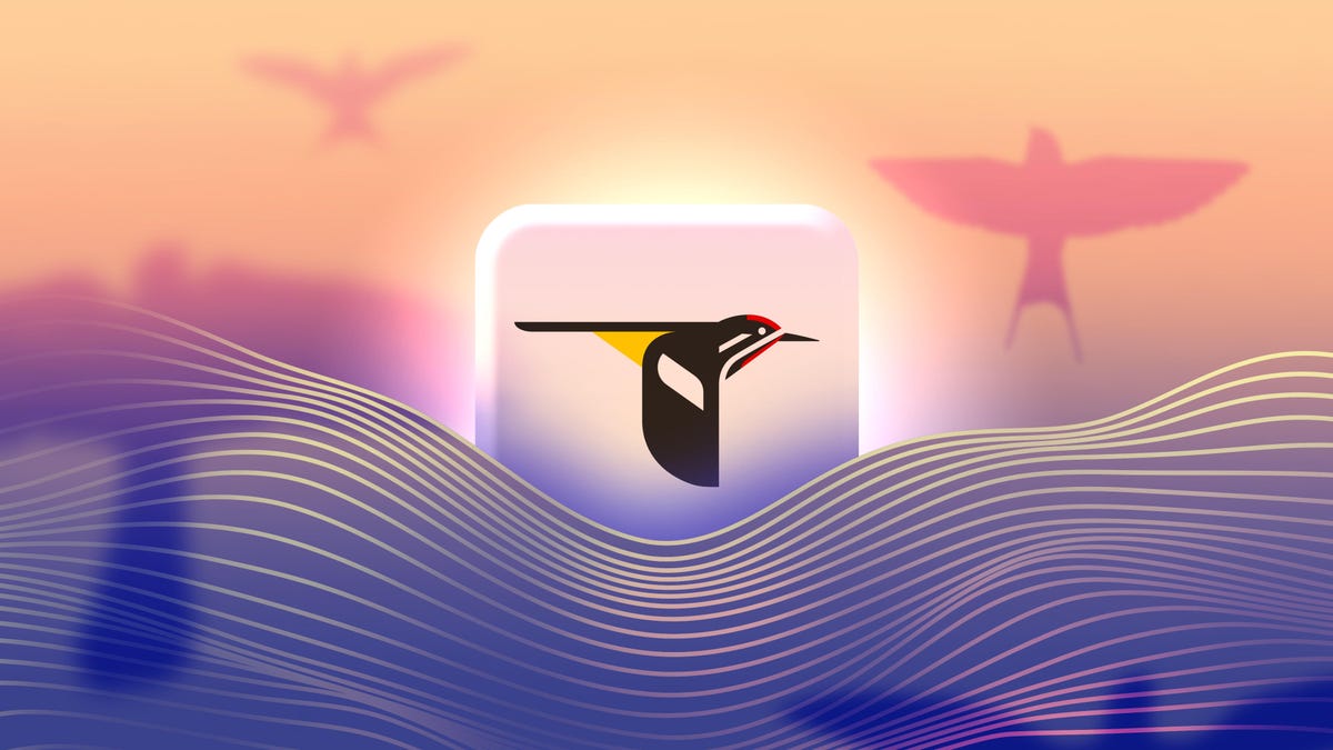 The Merlin Bird ID App Is Better Than Meditation, and It’s Not Just for Birders