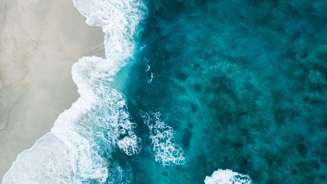 Marine Algae See Large Fall in Photosynthesis