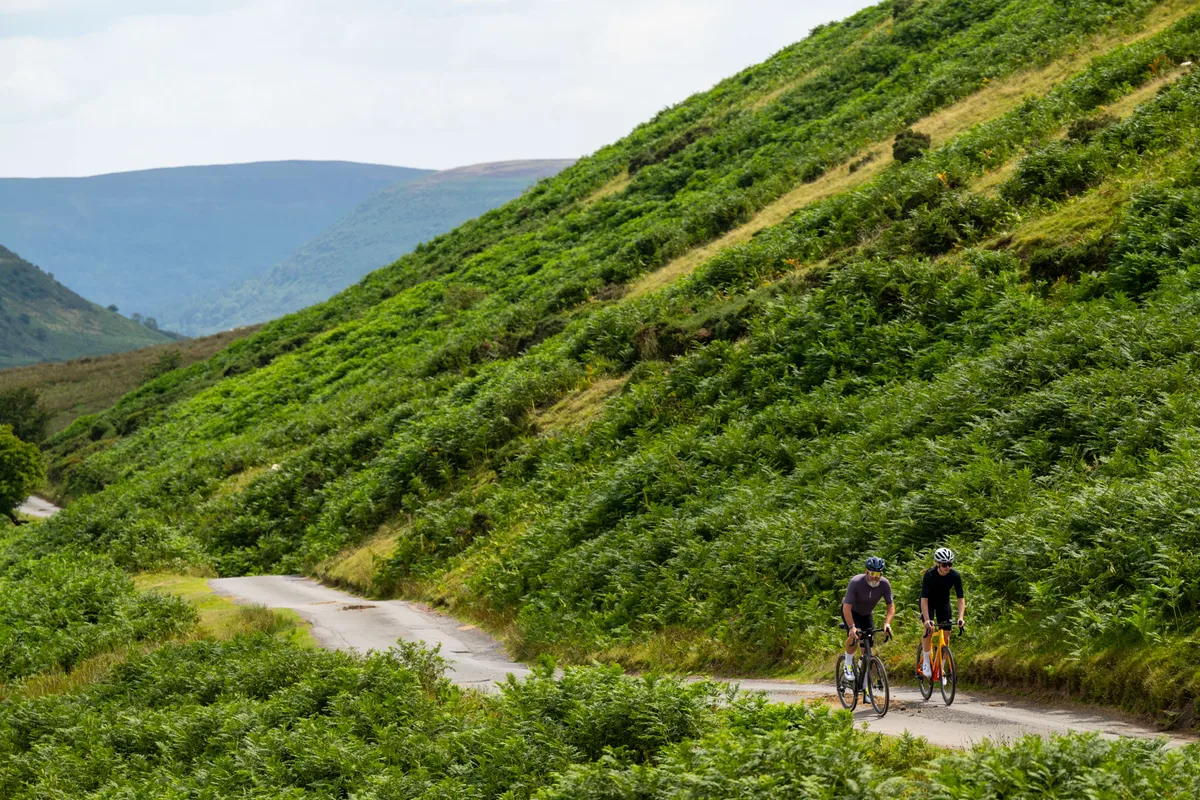 Boardman vs Cannondale