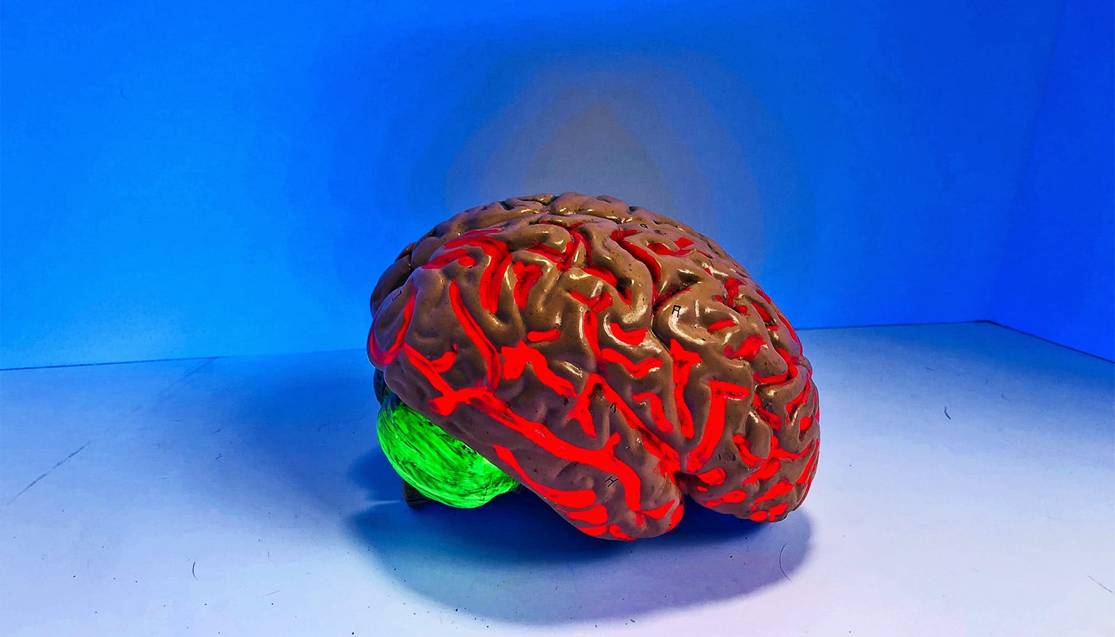 Scientists grow mini brain in a lab
