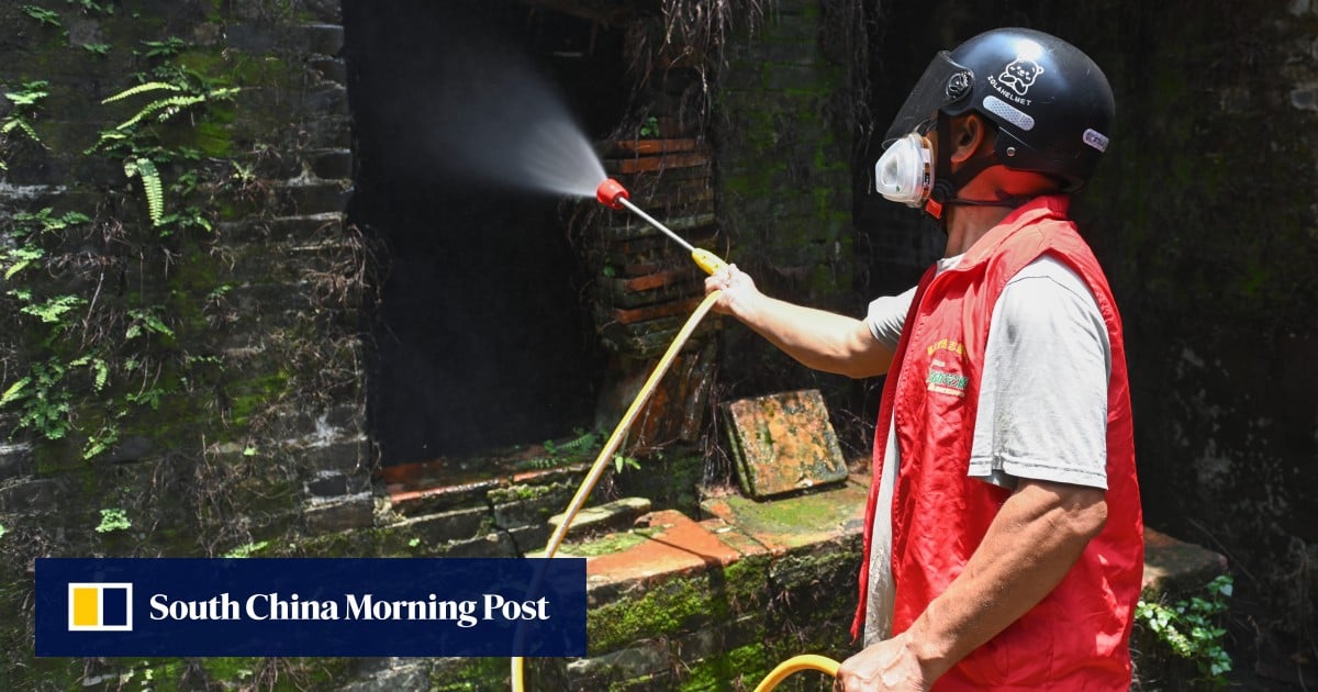 Senior Chinese official urges southern city to stamp out Chikungunya spread amid outbreak