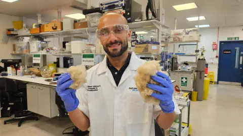 King’s College London Dr Sherif Elsharkawy wearing blue gloves, white lab jacket and goggles, holds two clumps of blond hair in a laboratory