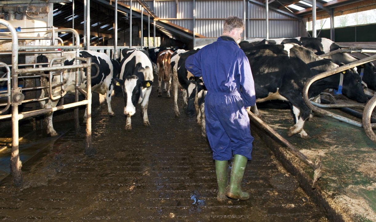 Scaling Solutions for Manure Emissions in the US