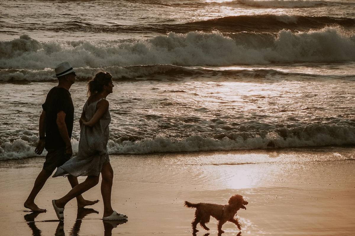Rabies Bites in Bali Prompts Visitors to get Vaccinated — Vax-Before-Travel