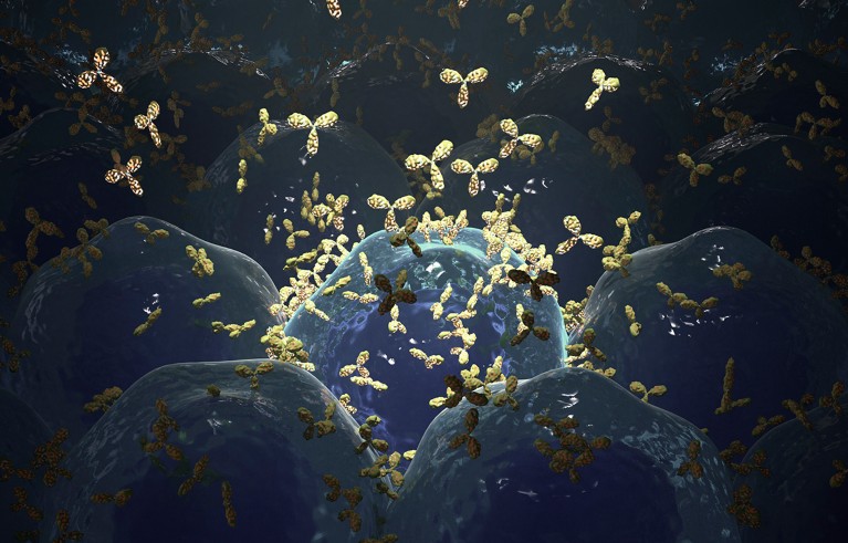 Computer illustration of the production of monoclonal antibodies. Blue blob with some yellow y shaped particles around.