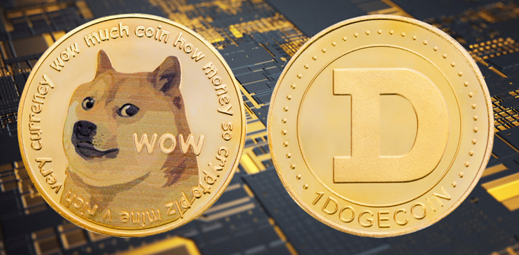 Dogecoin to Pakistani Rupee Rate Today- August 02, 2025