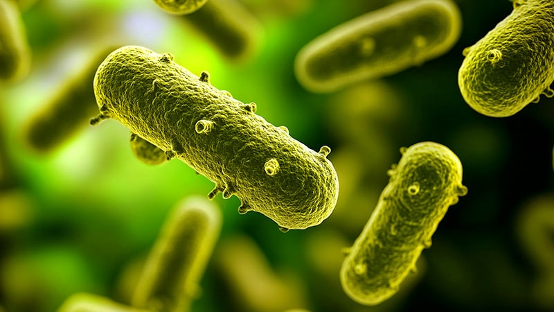 Are Probiotics Helpful in Treating Cardiovascular Issues?
