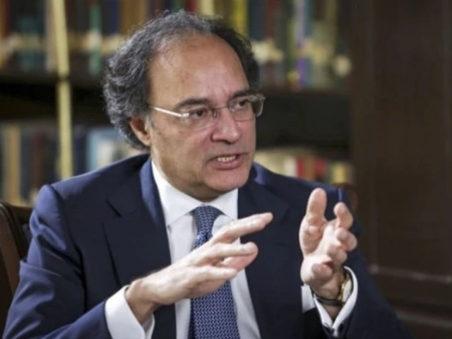 SBP working on exchange, interest rates for stability: FinMin