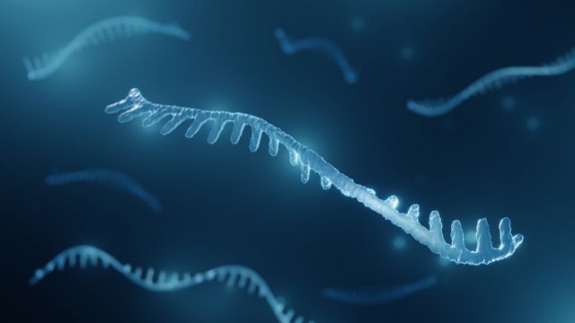 Universal Antiviral Therapy Mimics Rare Genetic Immunity