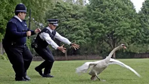 Alamy Still image from Hot Fuzz movie. Two uniformed police officers are chasing after a flapping swap in a park. One has an extendable black baton while the other has his arms outstretched as he gives chase.
