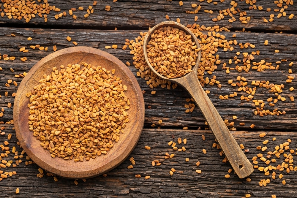 Fenugreek seed is recommended for mothers.(Shutterstock) Fenugreek seed is recommended for mothers.(Shutterstock)