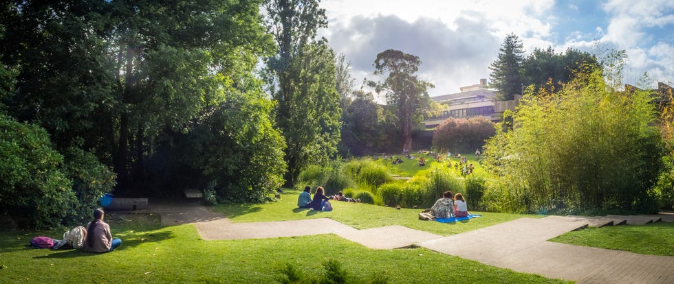 lisbon, portugal – july 14, 2018: calouste gulbenkian foundation garden with a view of the lawns. an urban park open to the public, and very popular especially among college students.