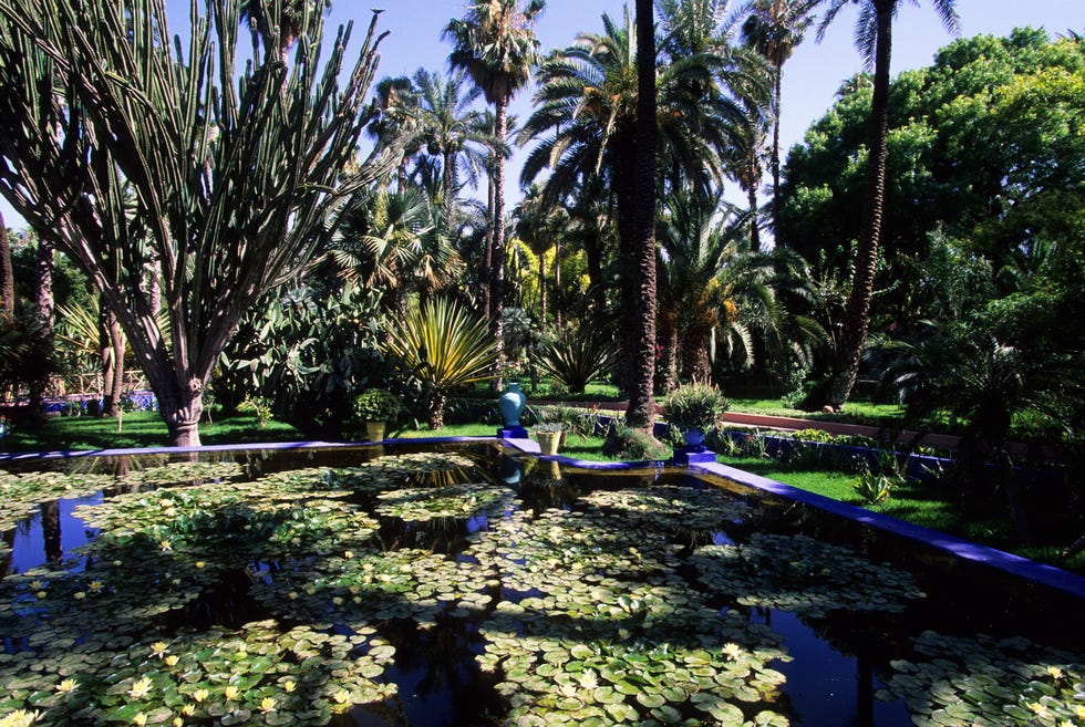 morocco 2001/01/01: morocco, marrakech, majorelle garden, (yves saint laurent), pond with waterlilies. (photo by wolfgang kaehler/lightrocket via getty images)