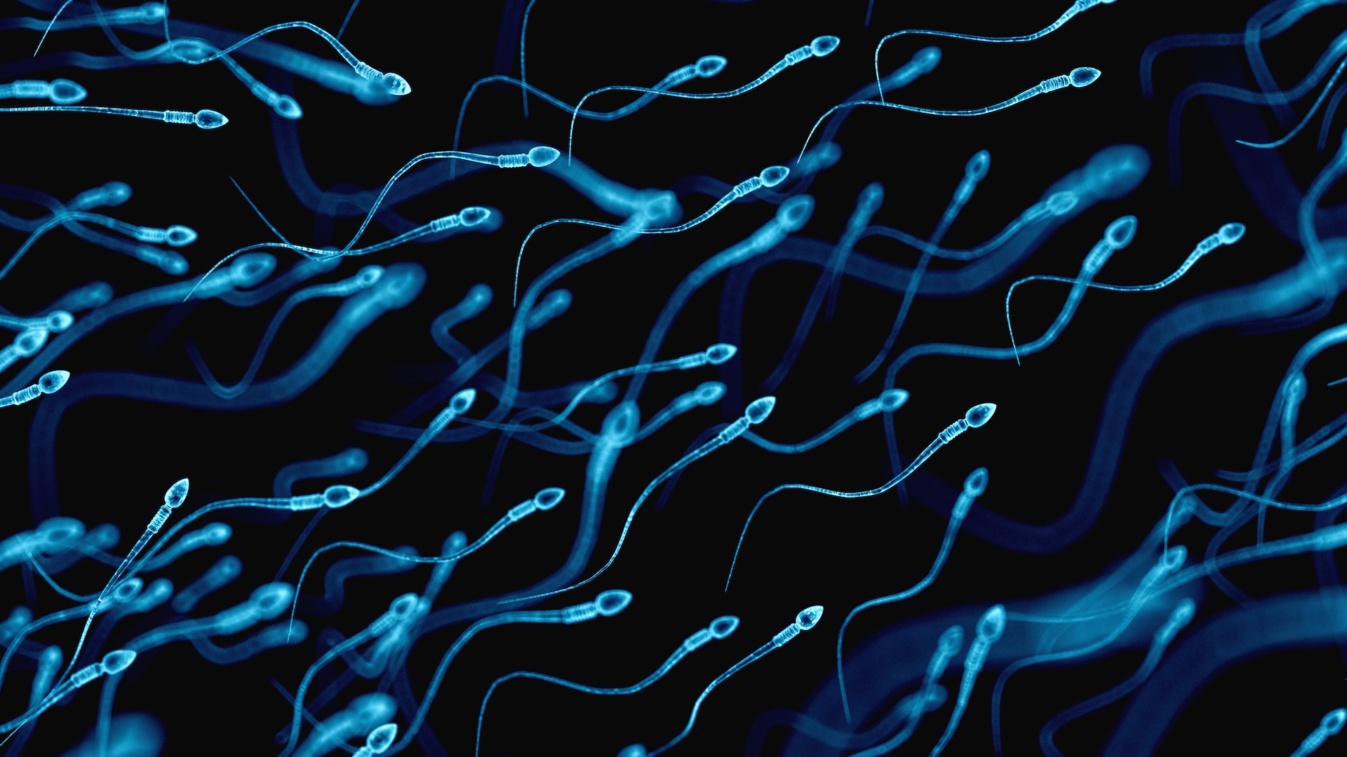 ‘Total sperm count going down worldwide’