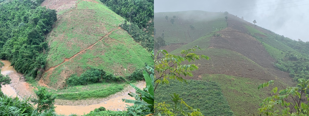 Forest clearing for corn and cassava on steep slopes poses a high risk of flash floods.