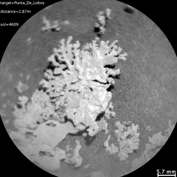 This image of a wind-eroded rock was taken by Curiosity’s Remote Micro Imager on July 24, 2025. Image credit: NASA / JPL-Caltech / MSSS.