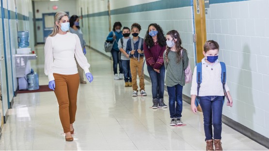 Immunological study provides new insights into post-pandemic return of respiratory viruses