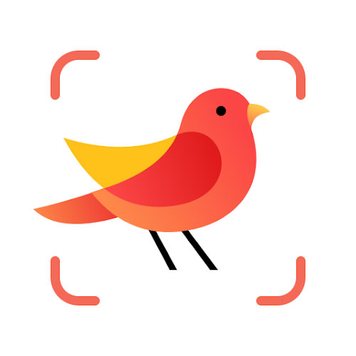 The PIcture Bird logo.