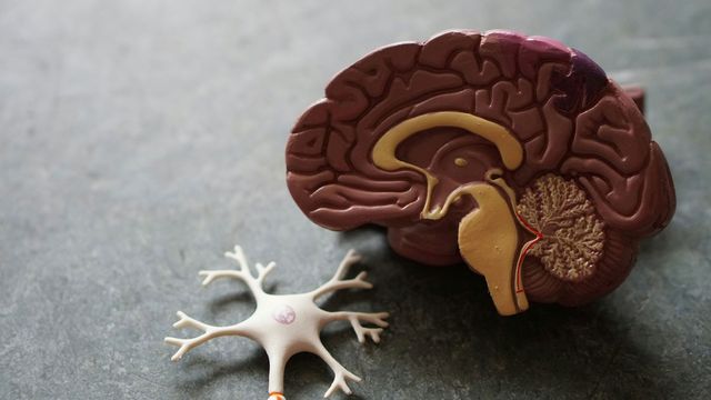 Modifiable Dementia Risk Factors May Predict Early Decline