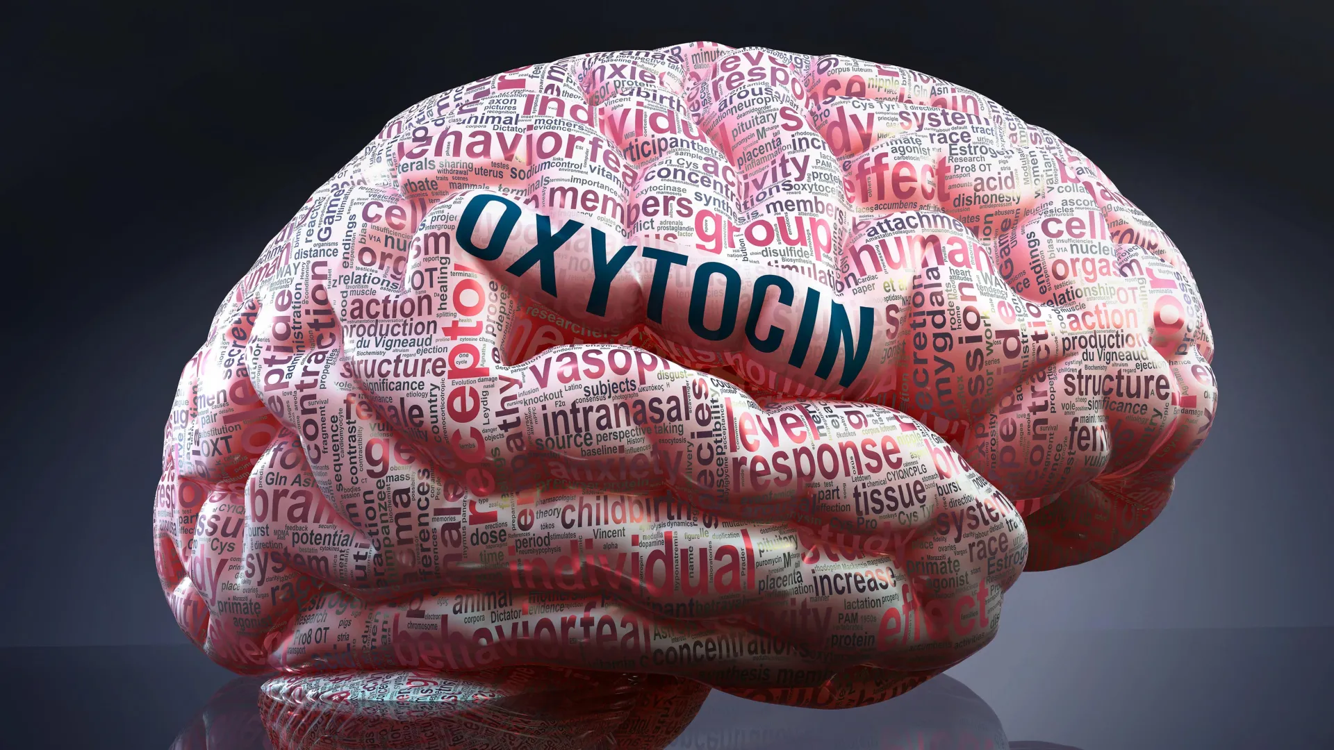 The surprising brain chemistry behind instant friendships