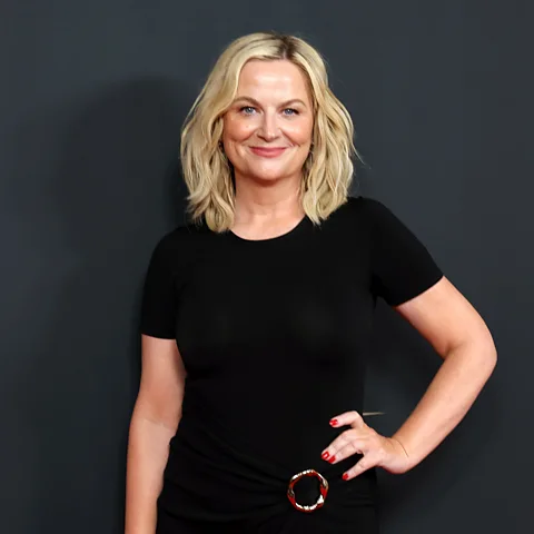 Getty Images On Good Hang, Poehler draws upon her years of experience and friendships cultivated in the entertainment industry (Credit: Getty Images)