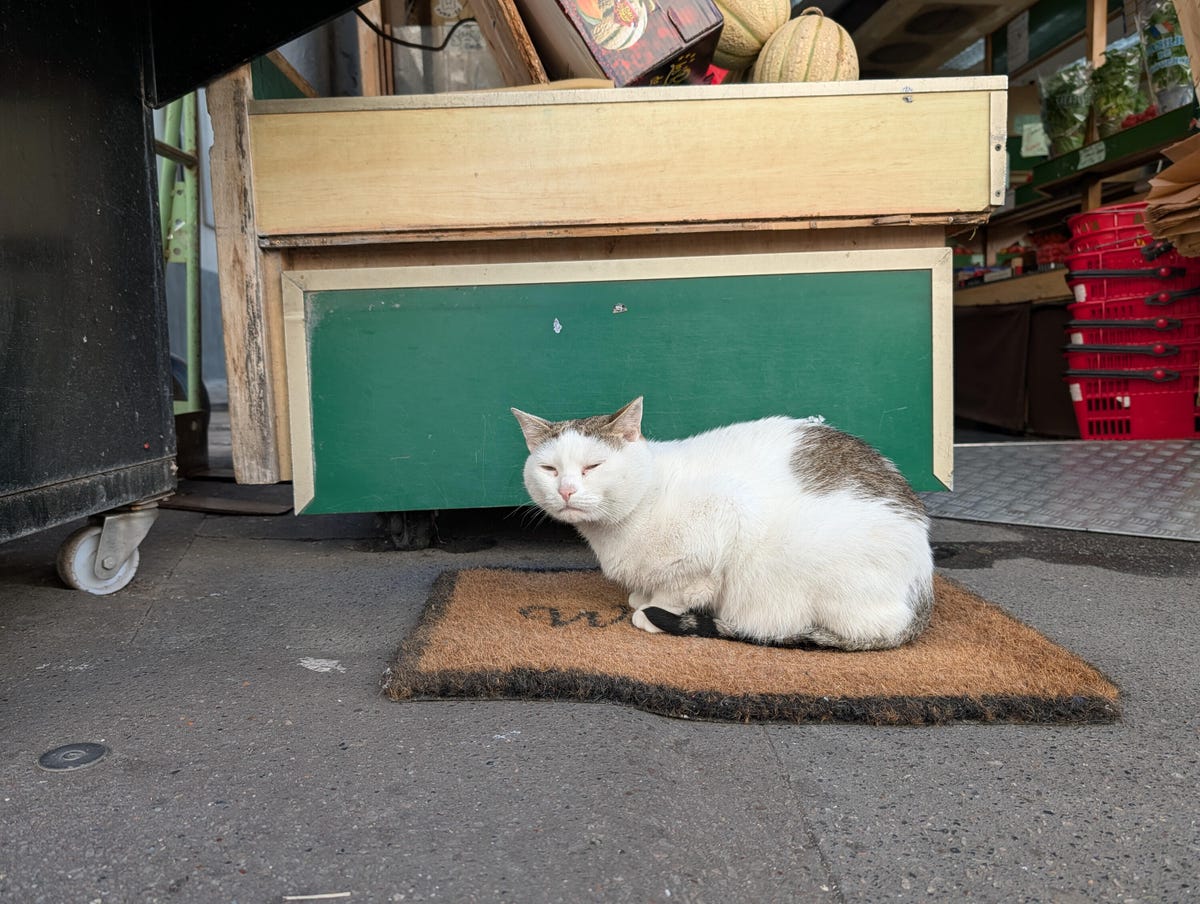 pixel-10-pro-camera-test-examples-cnet-lanxon-05