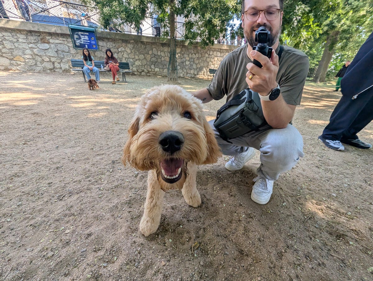 pixel-10-pro-camera-test-examples-cnet-lanxon-26