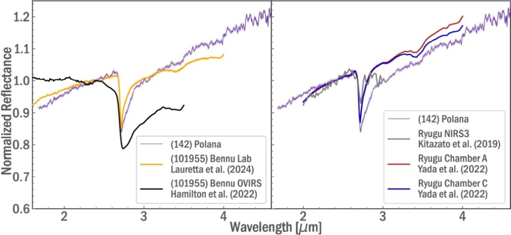 This figure compares NIRSpec Polana data to Bennu and Ryugu data. There are differences around the 2.7 micrometer feature that are likely due to space weathering. Image Credit: Arredondo et al. 2025. PSJ.
