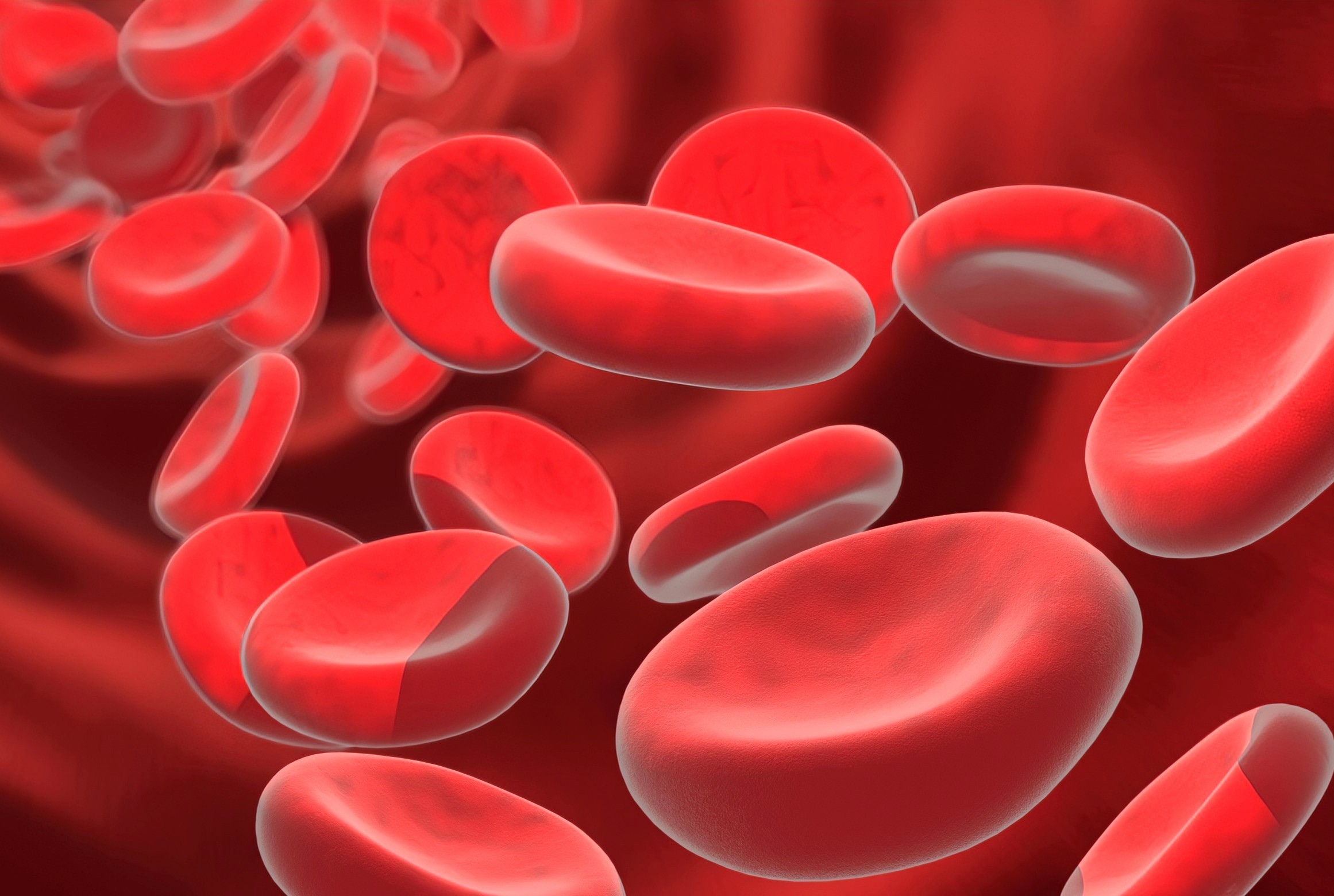 Red blood cells found to squeeze clots tight using physical force