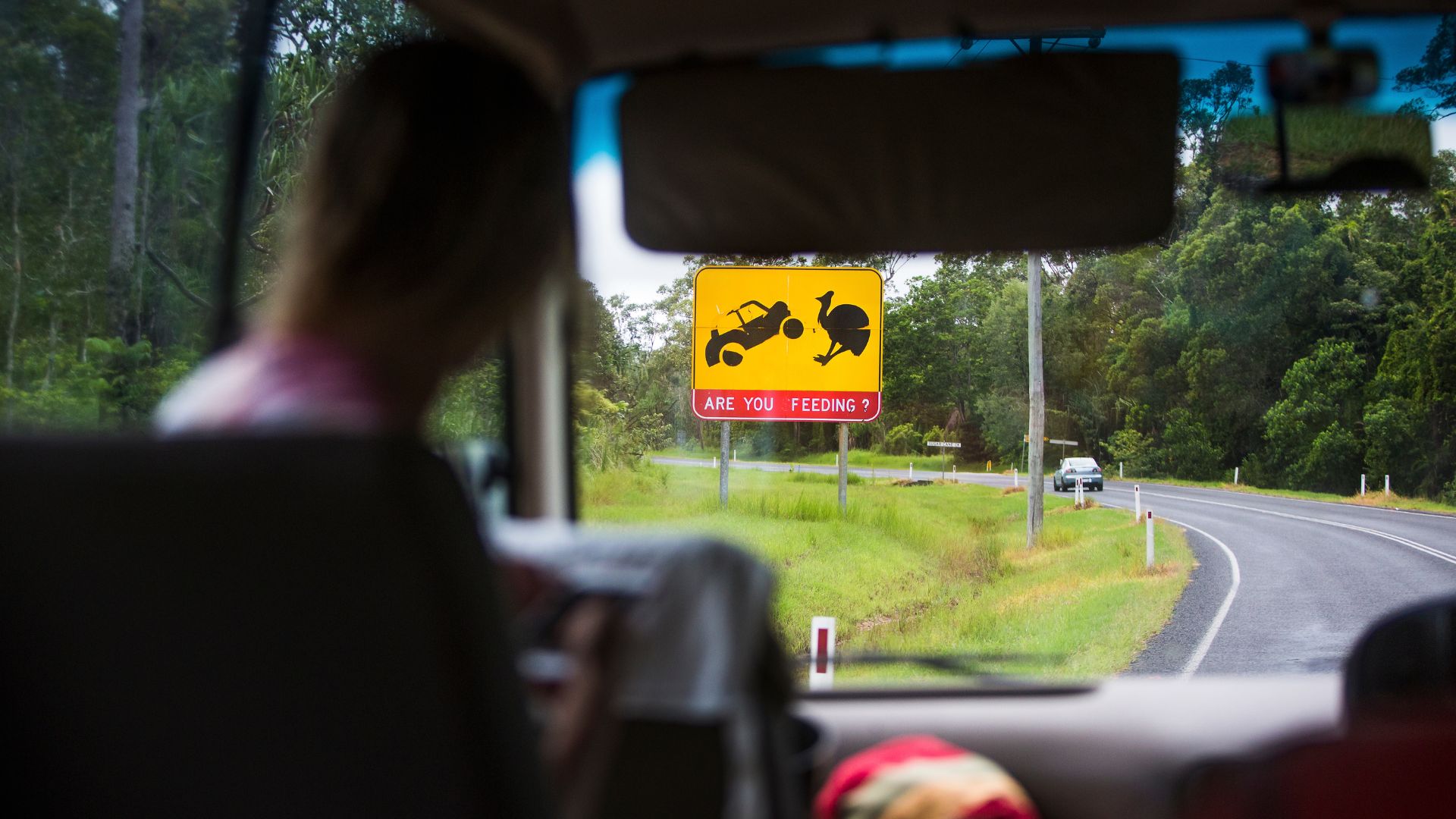 World-1st roadside AI tech that prevents animal-vehicle collisions tested