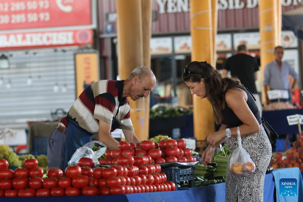 Higher food prices continue to weigh on Turkish households despite cooling inflation-Xinhua
