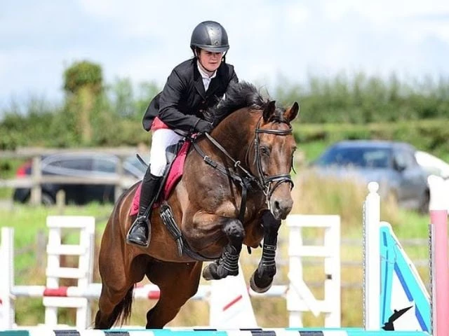 British equestrian-rider Sarah Yorke, 37, dies following a tragic fall at an eventing trial