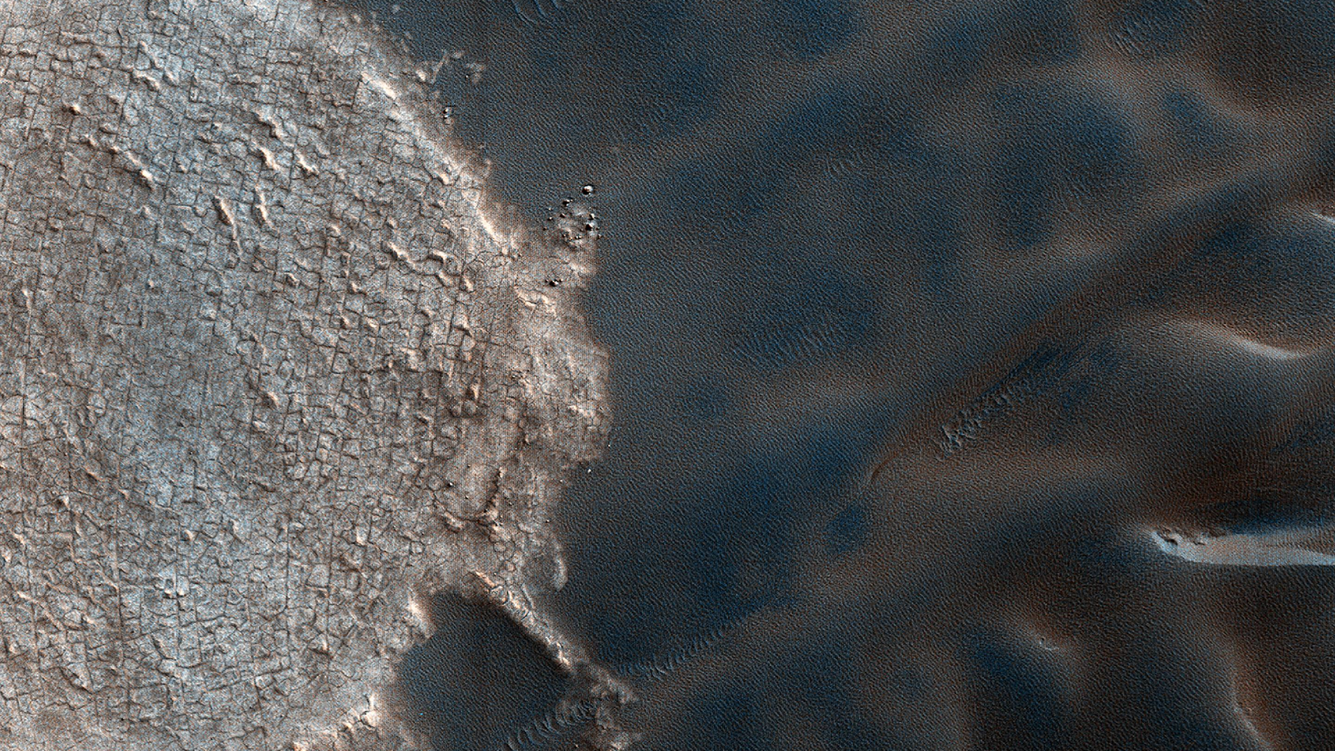 A photo of the surface of Mars taken from space where a gray rocky patch is on the left of the image next to dark blue and brown sand dunes which show ripple patterns