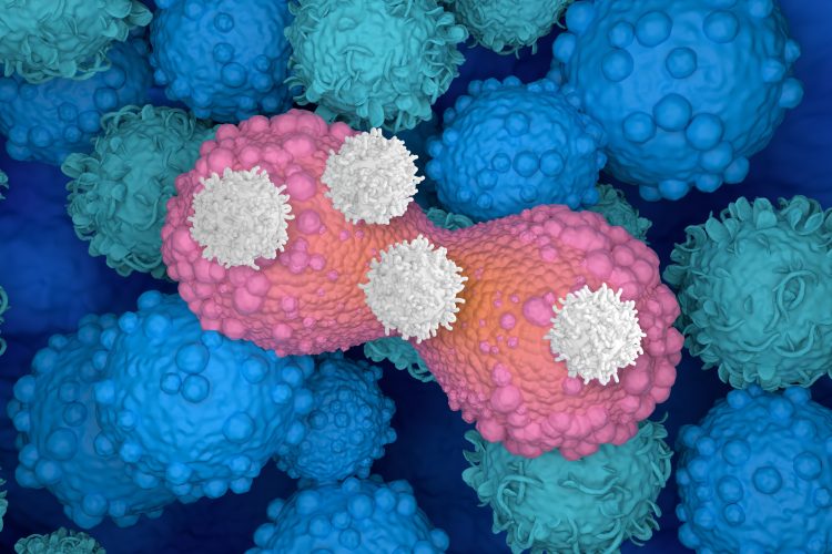 breast cancer cells dividing