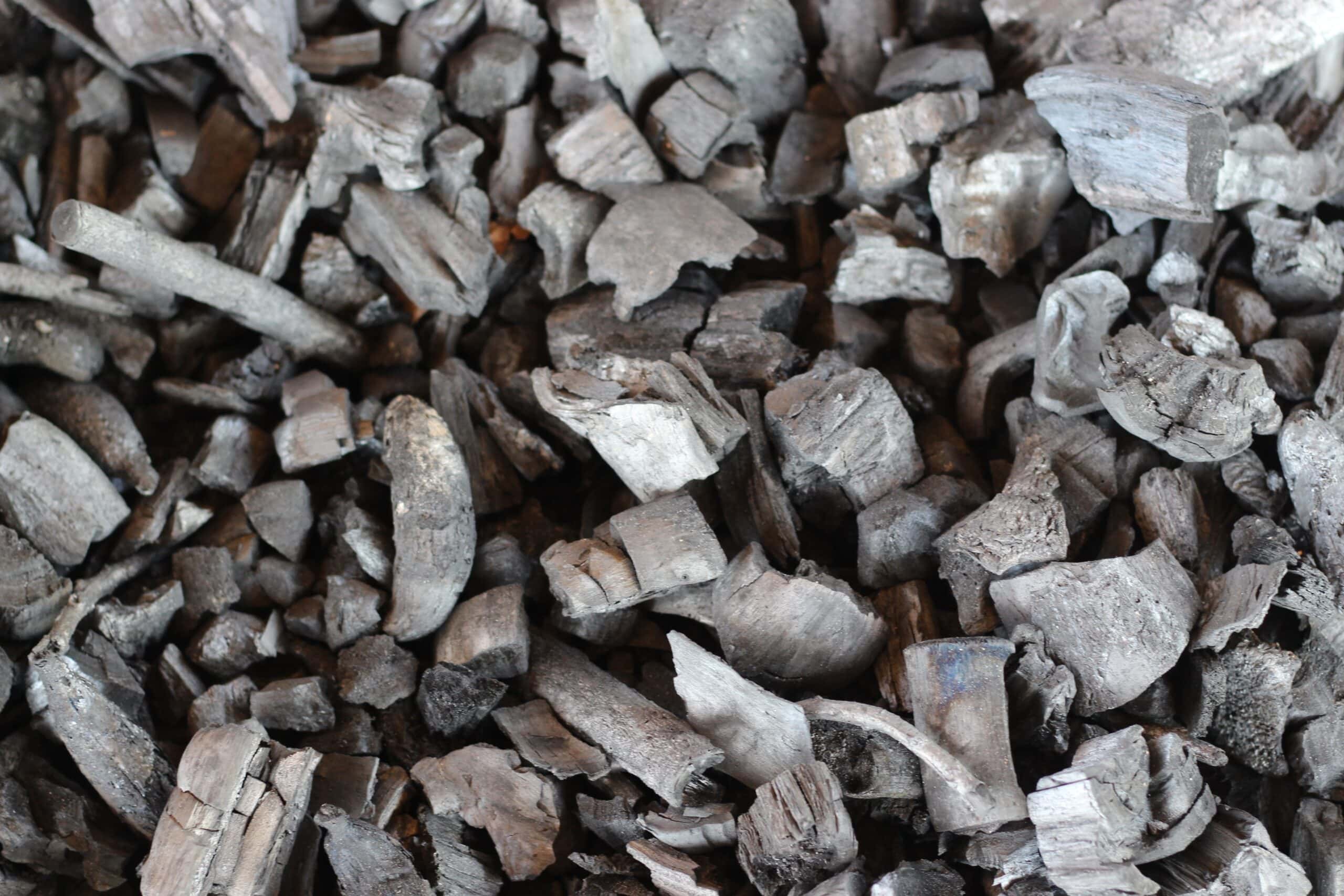 Verra’s Biochar and Forest Management Approaches Endorsed by ICVCM as High-Integrity Solutions