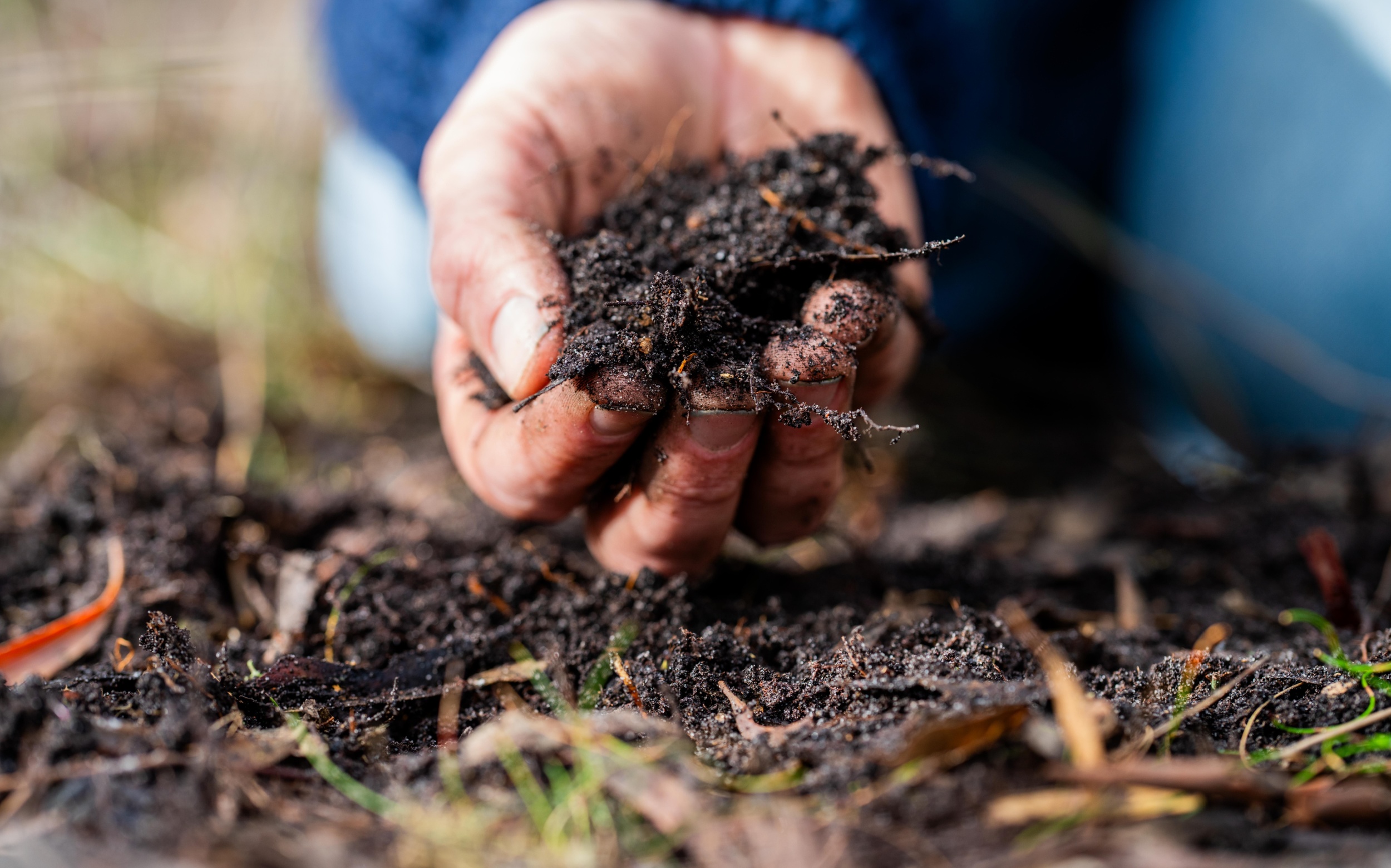 Organic matter helps soil hold water – even in conditions like Mars