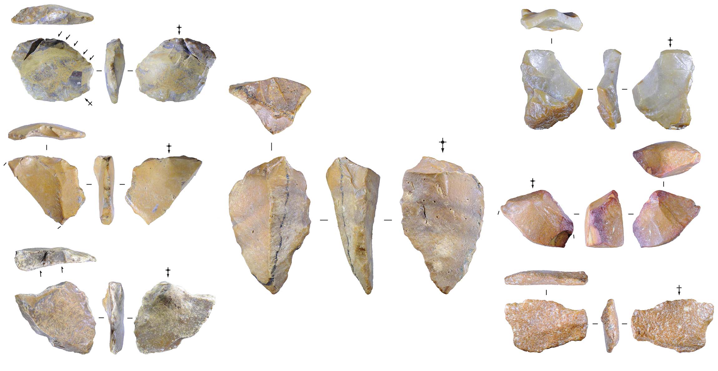 An ancient human species was island hopping in Asia over a million years ago