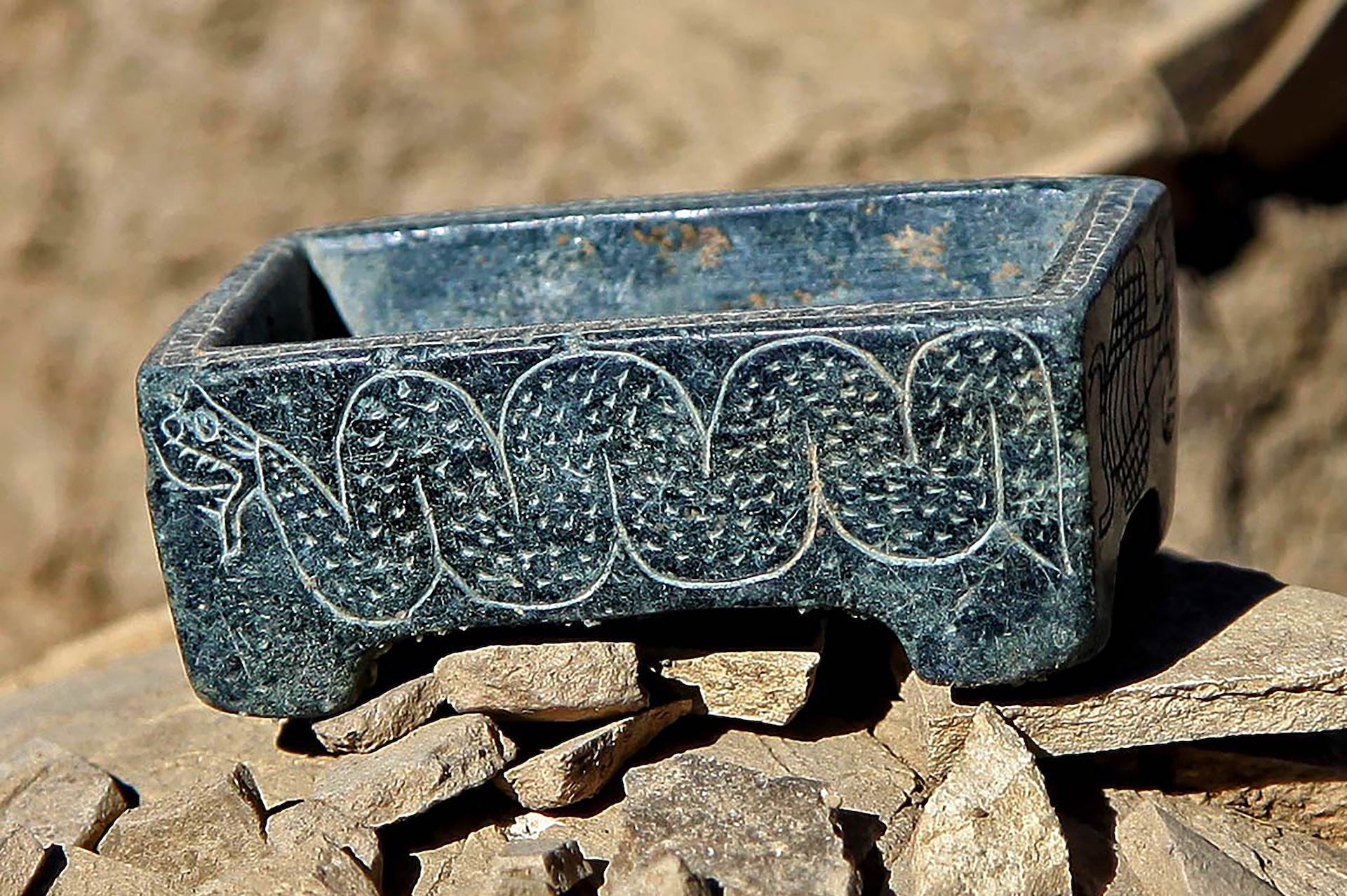 a close-up of a blue box with a snake engraved on its side