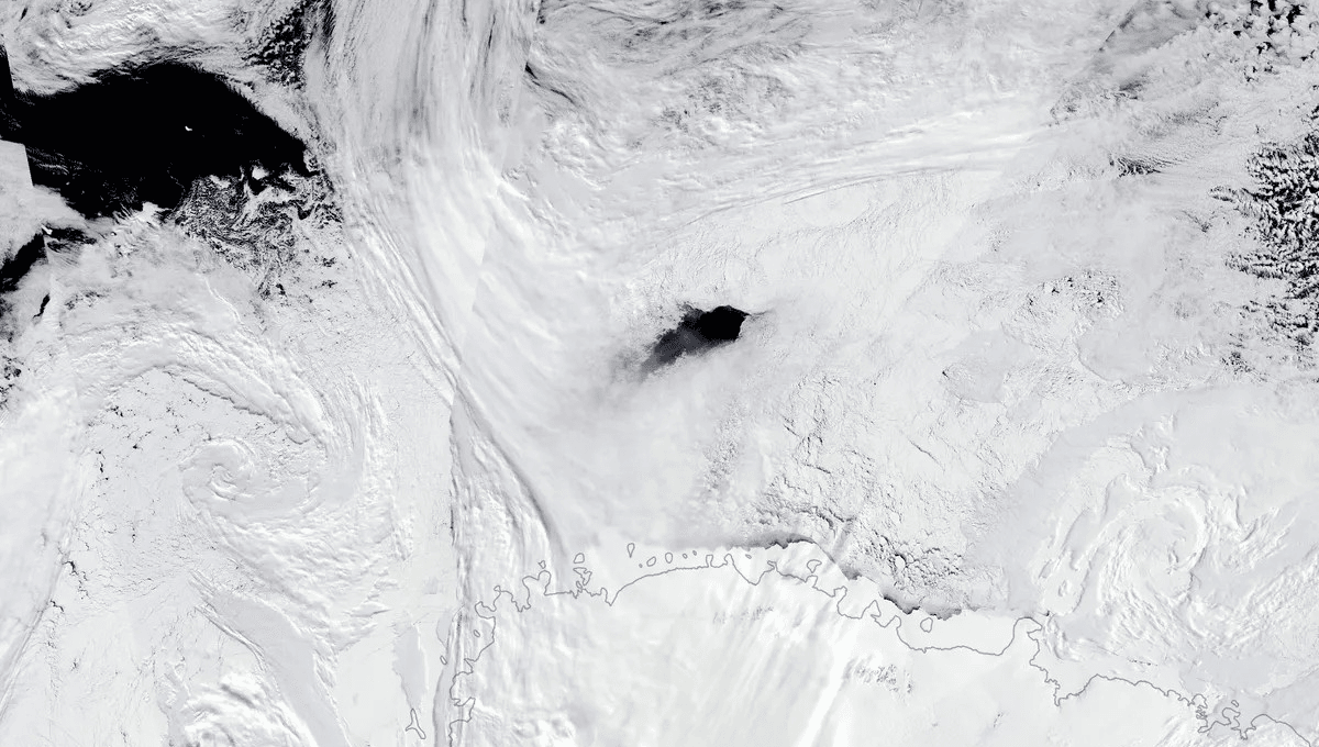 Nine Years Ago A Huge Opening Appeared In Antarctic Sea Ice – Now We Know Why