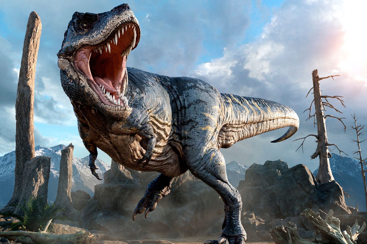 Bigger dinosaurs didn’t always have stronger bites, surprising new study finds