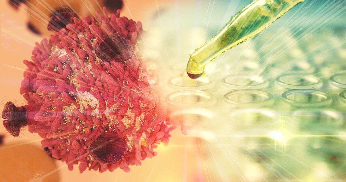 Ancient ‘junk’ DNA revealed as key players in human genome regulation