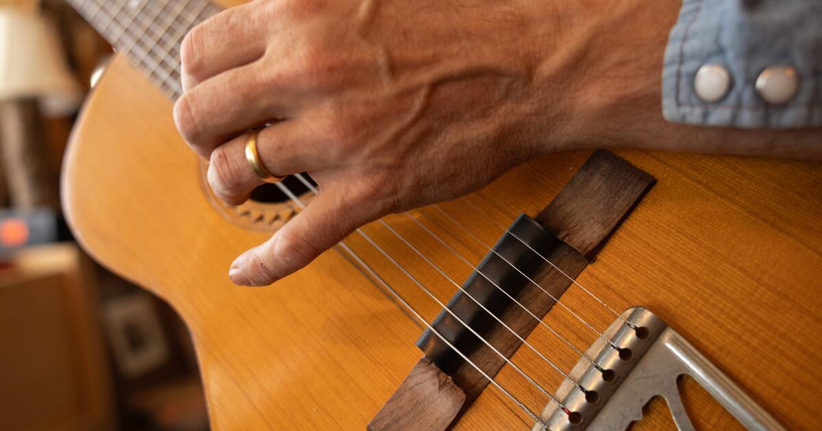The rubber bridge guitar changed the sound of music. But who owns it?