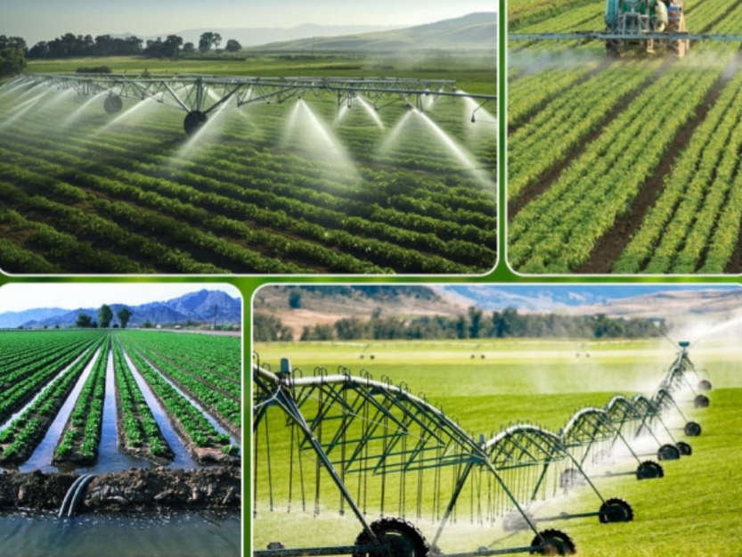 Uzbekistan leads Central Asia in water-saving drive, targets 15b cubic meters in annual savings by 2030