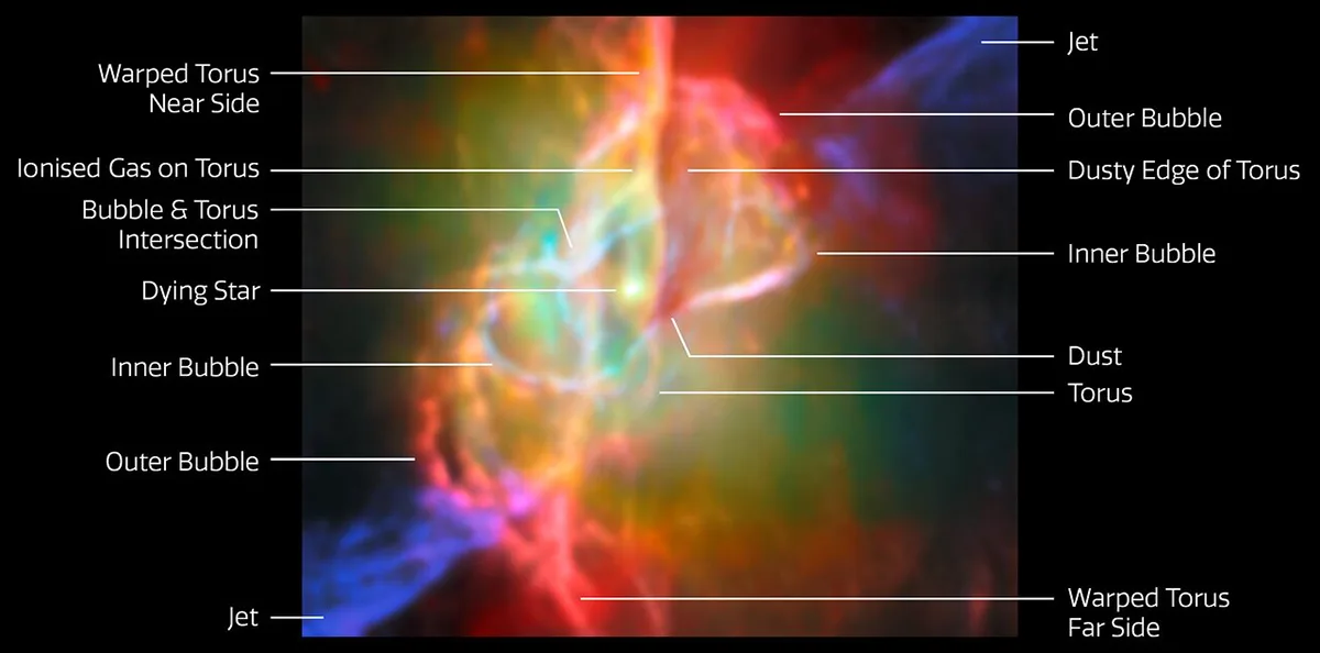 Annotated image of the Butterfly Nebula using data from the James Webb Space Telescope and the Atacama Large Millimeter/submillimeter Array. Credit: ESA/Webb, NASA & CSA, M. Matsuura, ALMA (ESO/NAOJ/NRAO), N. Hirano, M. Zamani (ESA/Webb)