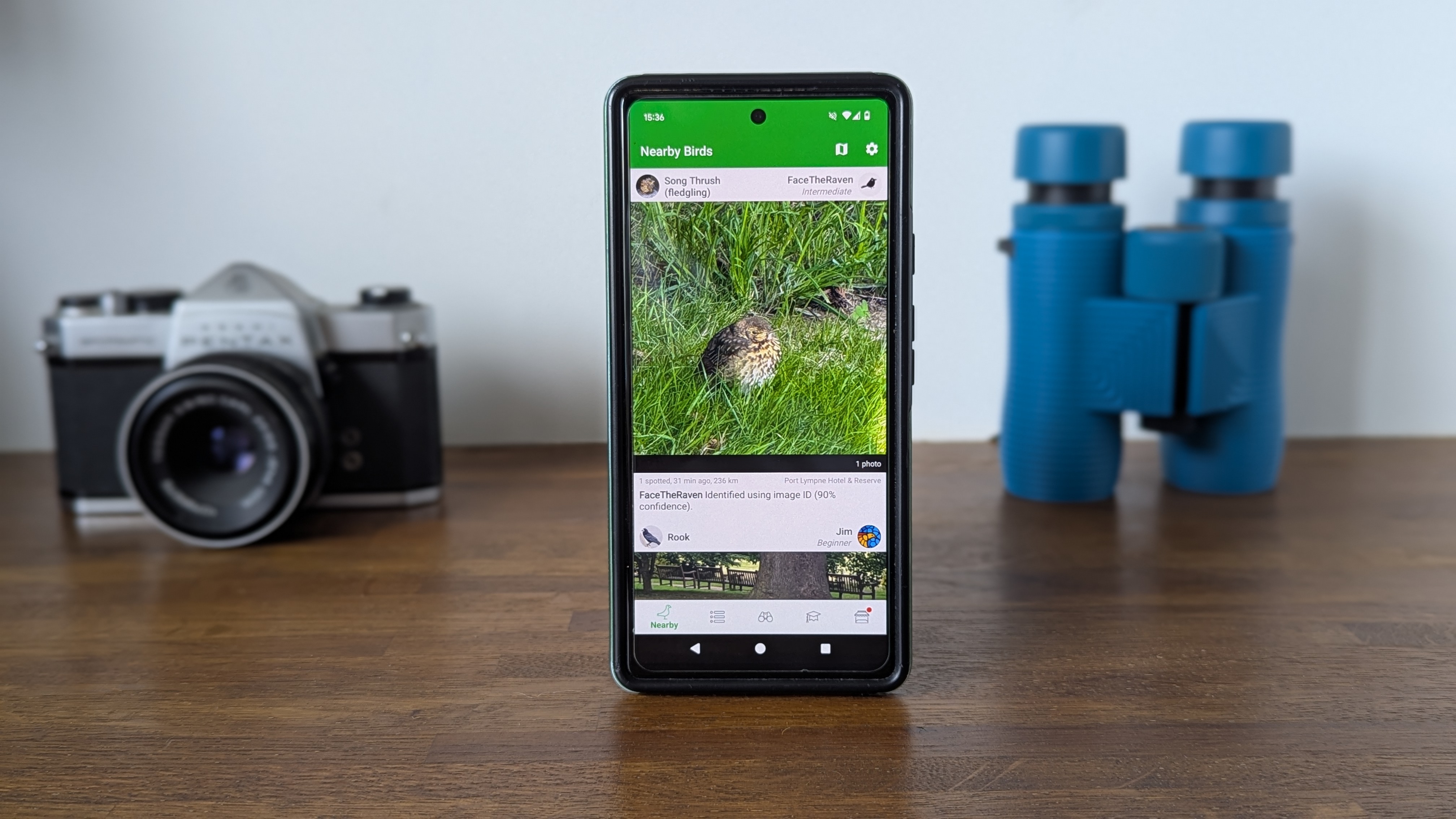 Bird identification app on a wooden table with blue binoculars and a silver SLR camera in the background
